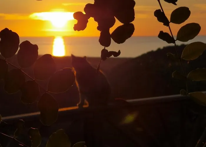 Nel Del Villaggio - Casetta Celeste Gonnesa